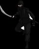 Ninja