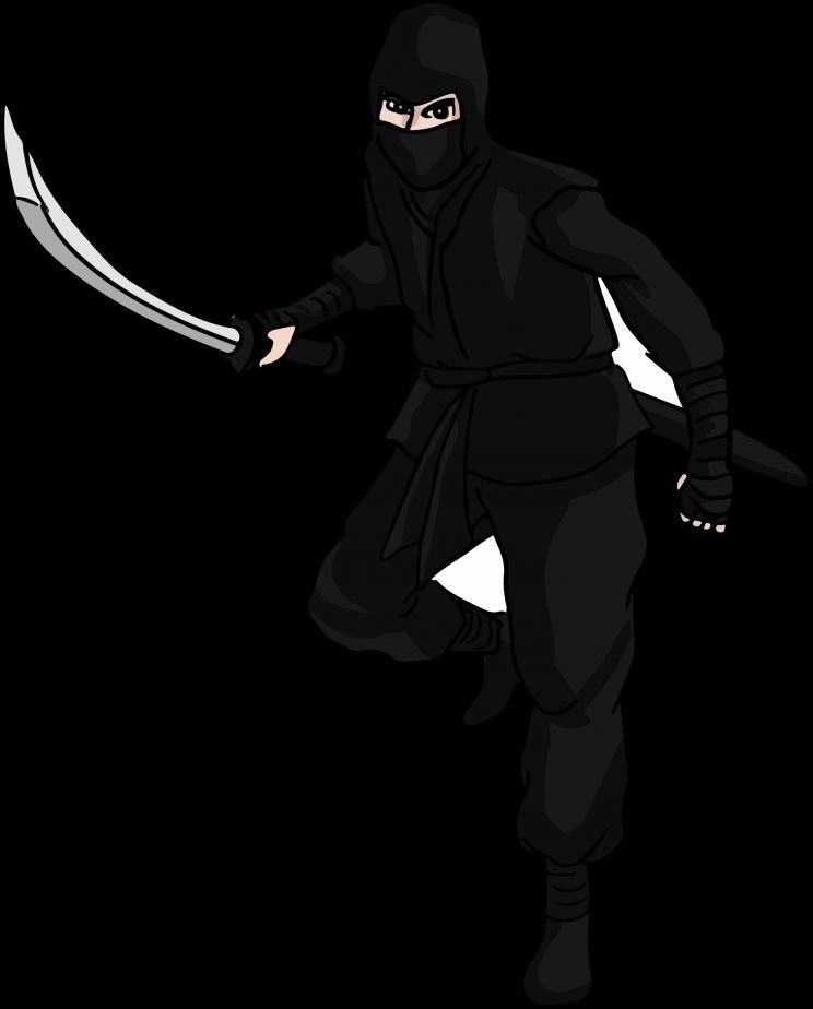 Ninja