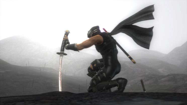 Ninja