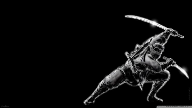 Ninja