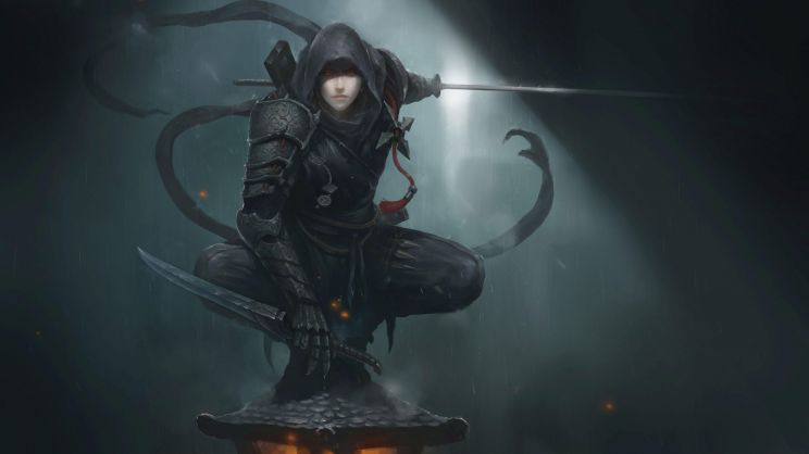 Ninja