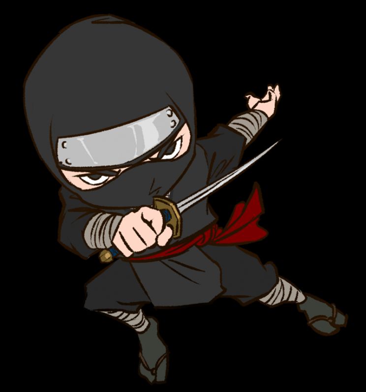 Ninja