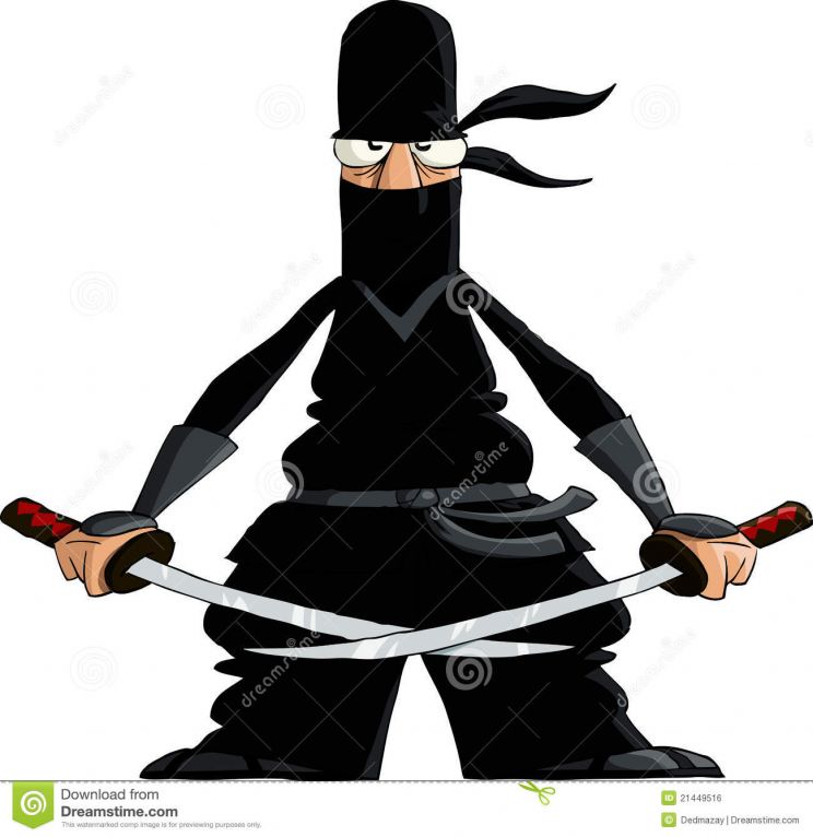 Ninja