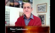 Nino Castelnuovo