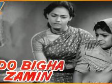Nirupa Roy #3355520 picture (Landscape Medium)