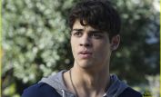 Noah Centineo