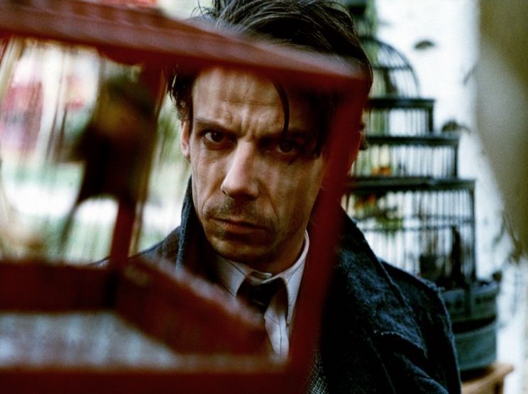 Noah Taylor