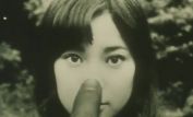 Nobuhiko Ôbayashi