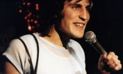 Noel Fielding