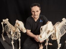 Noel Fitzpatrick