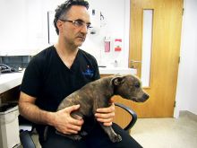 Noel Fitzpatrick