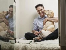 Noel Fitzpatrick