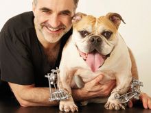 Noel Fitzpatrick