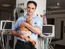 Noel Fitzpatrick