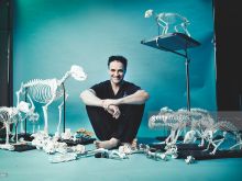 Noel Fitzpatrick