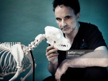 Noel Fitzpatrick