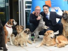 Noel Fitzpatrick