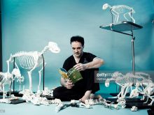 Noel Fitzpatrick