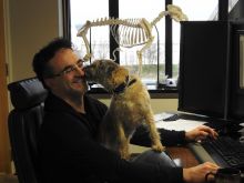 Noel Fitzpatrick photo