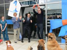 Noel Fitzpatrick photo