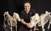 Noel Fitzpatrick