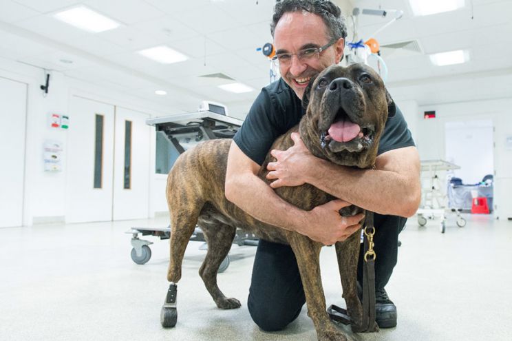 Noel Fitzpatrick