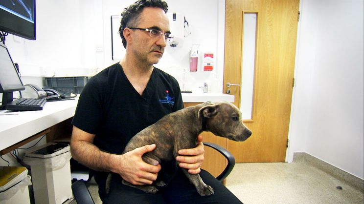 Noel Fitzpatrick