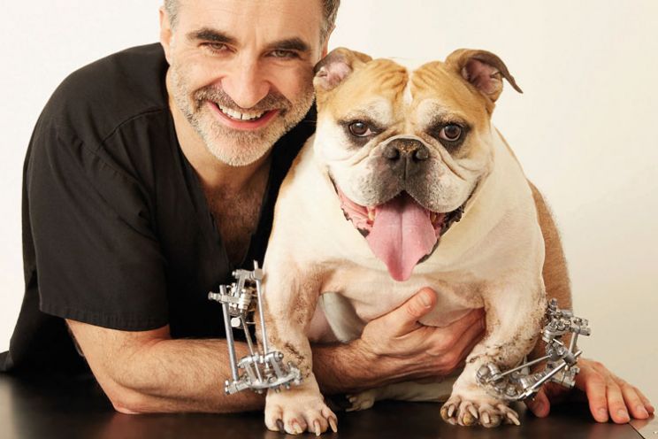 Noel Fitzpatrick