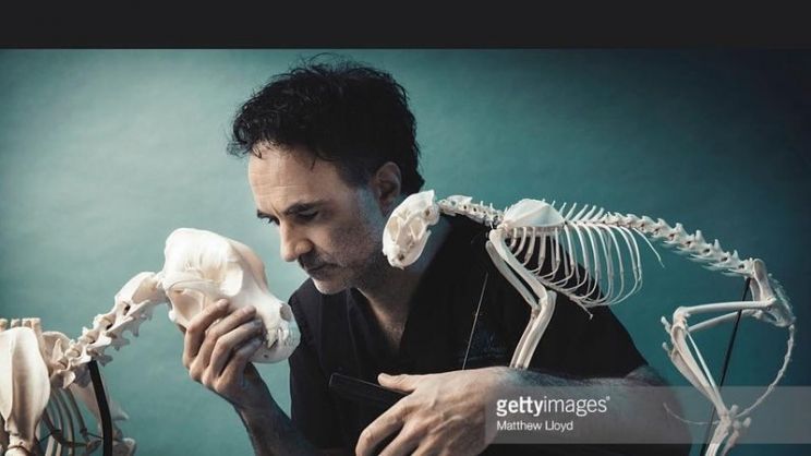 Noel Fitzpatrick