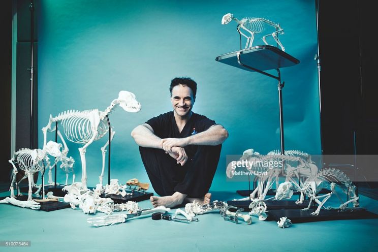 Noel Fitzpatrick