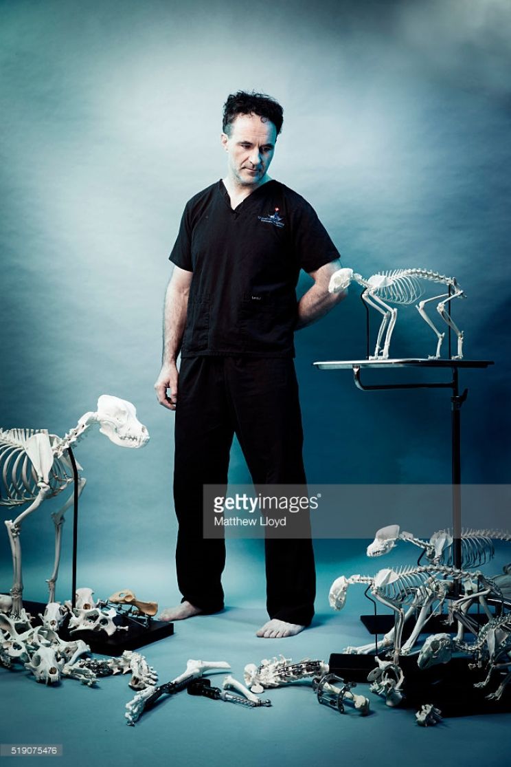 Noel Fitzpatrick