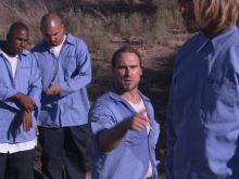 Noel Gugliemi photo