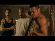 Noel Gugliemi photo