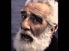 Noel Purcell