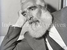 Noel Purcell
