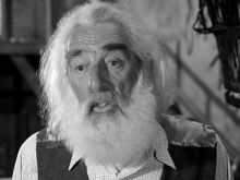 Noel Purcell