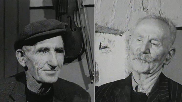 Noel Purcell