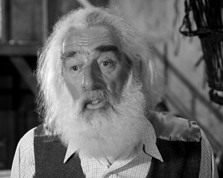 Noel Purcell