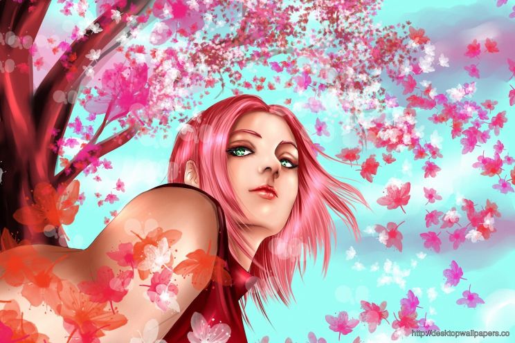 Noriko Sakura