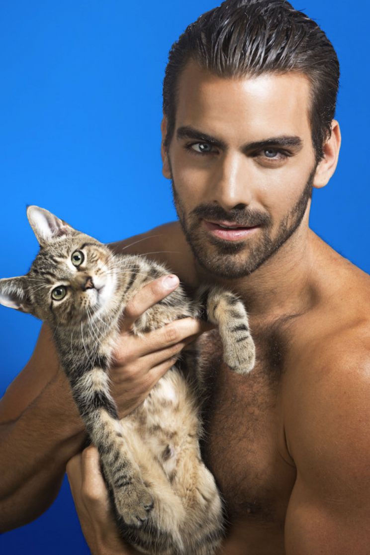 Nyle DiMarco