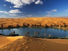 Oasis