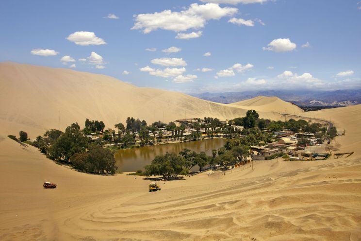 Oasis