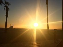 Odelya Halevi #1245321 picture (Landscape Medium)