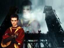 Oliver Wood