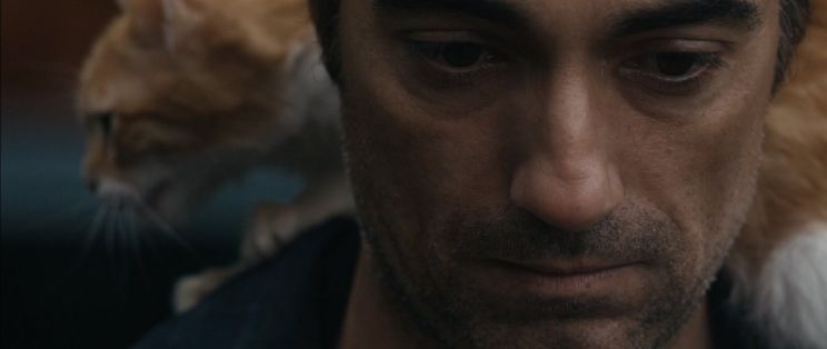 Onur Saylak