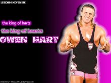 Owen Hart