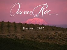 Owen Roe