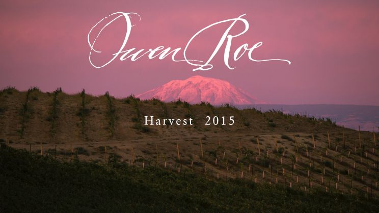 Owen Roe