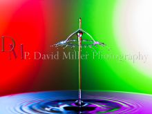 P. David Miller