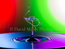 P. David Miller